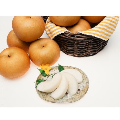【10月上旬から発送予定】南信州生まれのジューシーで甘い梨【南水梨】ロイヤル〈大玉〉約2.4kg4玉