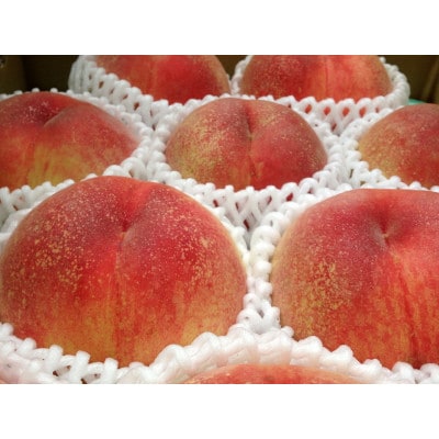 【2025年受付】長野県　飯田市産　桃　あかつき　約3kg1箱