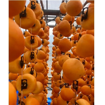 高級干し柿【市田柿】長野県　南信州飯田産　贈答品700g