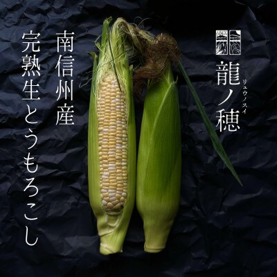 【2025年分先行受付】南信州産 完熟生とうもろこし 約5kg(10本～14本)