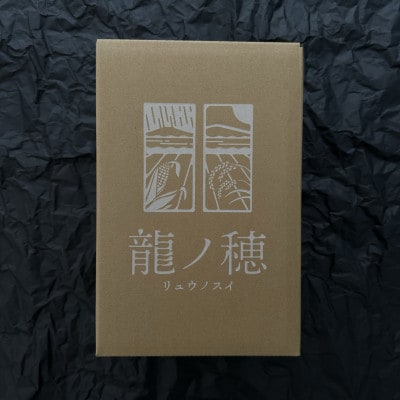 【2025年分先行受付】南信州産 完熟生とうもろこし 約5kg(10本～14本)