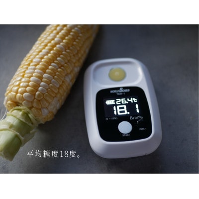 【2025年分先行受付】南信州産 完熟生とうもろこし 約8kg(18本～22本)