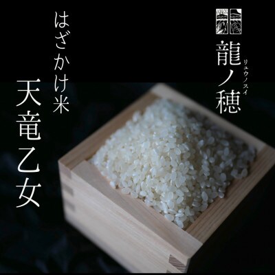 【令和6年産】南信州産はざかけ米　天竜乙女3kg