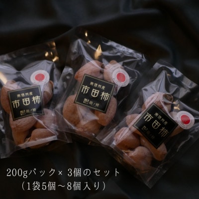 【2025年分先行受付】南信州産　市田柿600g