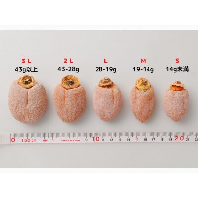 【長野県飯田市産】究極の市田柿【干し柿】【贈答用・700g×1箱】【ふっくら・甘い・大玉】