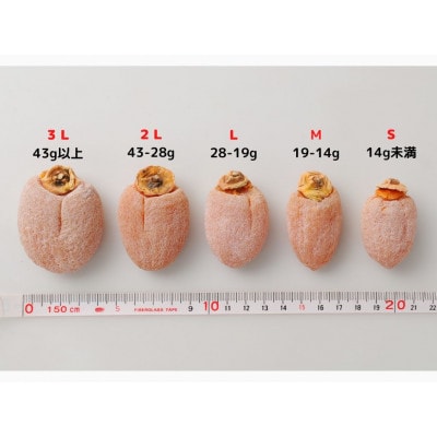 【長野県飯田市産】究極の市田柿【干し柿】【贈答用・410g×1箱】【ふっくら・甘い・超大玉】