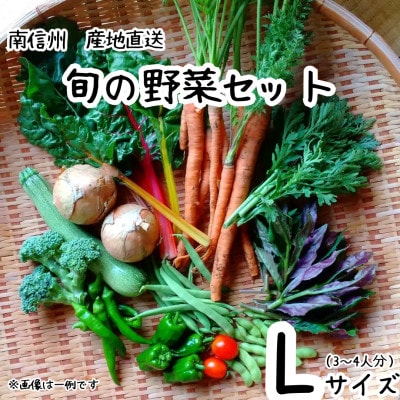 旬の野菜セット詰め合わせ　Lサイズ 3～4人分