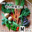 旬の野菜セット詰め合わせ　Mサイズ 2～3人分