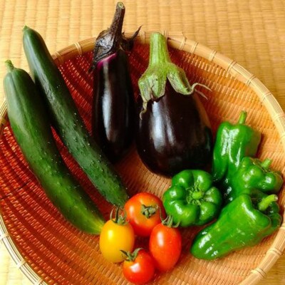 旬の野菜セット詰め合わせ　Mサイズ 2～3人分