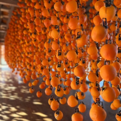 【さとふる限定】贈答用《ブランド干し柿》市田柿　計1kg化粧箱