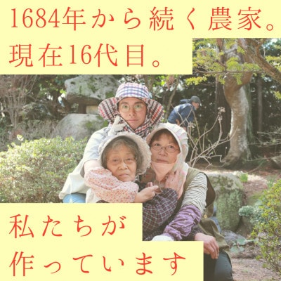 生で食べられるサニーショコラ6本 約3kg
