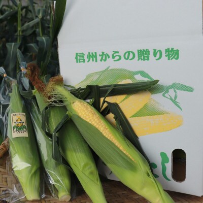 生で食べられるサニーショコラ6本 約3kg