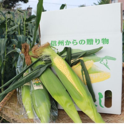 生で食べられるサニーショコラ10本 約5kg