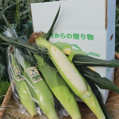 生で食べられるサニーショコラ、ホワイトショコラ2色セット6本 約3kg