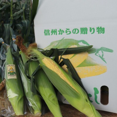 生で食べられるサニーショコラ、ホワイトショコラ2色セット10本 約5kg