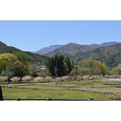 信州朝日村産　2019 シャルドネ葡萄ワイン(720ml)　2本セット  ZA 100009