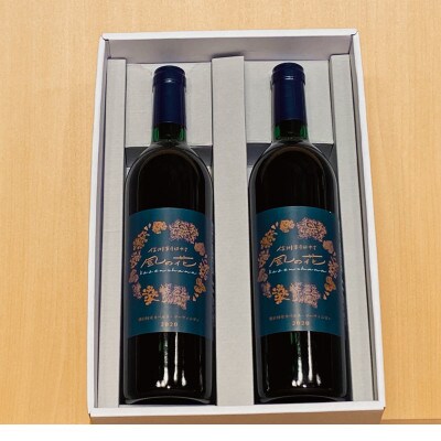 信州朝日村産　2020カベルネ葡萄ワイン　2本セット(750ml×2)
