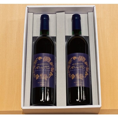 信州朝日村産2020メルローワイン　2本セット(750ml×2)