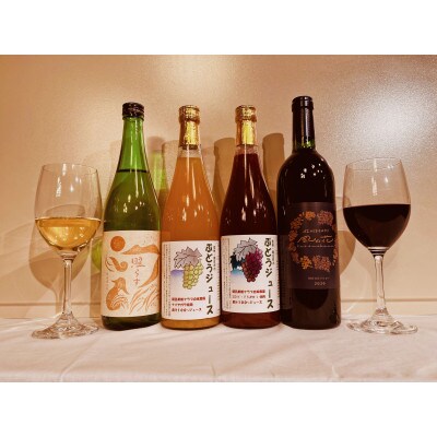 信州朝日村産赤ワイン(750ml)純米吟醸(720ml)果汁ジュース(720ml×2)飲み比べセット