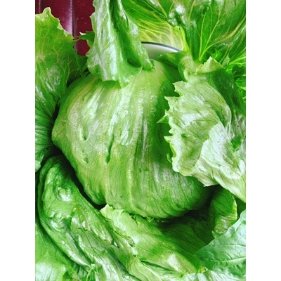 信州朝日村産「元気いっぱい野菜セット」(9～12品目詰め合わせ)