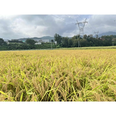 信州・朝日村のお酒　鉢盛山 純米吟醸無濾過　火入貯蔵酒　1升瓶(1800ml)
