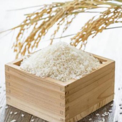 お米 ゆうだい21(精米)6kg(1.5kg×4袋)