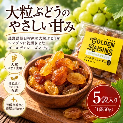 ゴールデンレーズン　黄華　5袋　