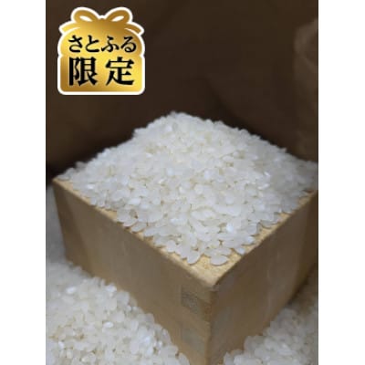 【さとふる限定】【令和7年産】長野県産コシヒカリ5kg 精米 ※※天日干しはぜかけ米※※