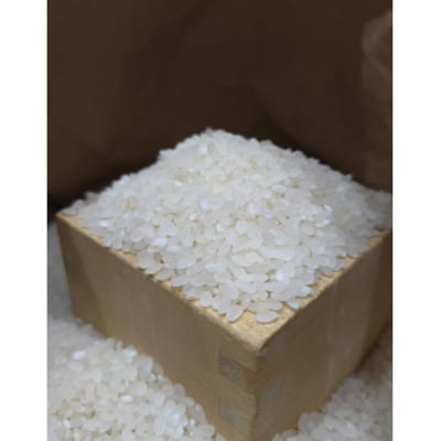 【令和7年産】長野県産コシヒカリ5kg 精米 ※※天日干しはぜかけ米※※