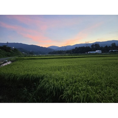 【さとふる限定】【令和7年産】長野県産コシヒカリ5kg 精米 ※※天日干しはぜかけ米※※