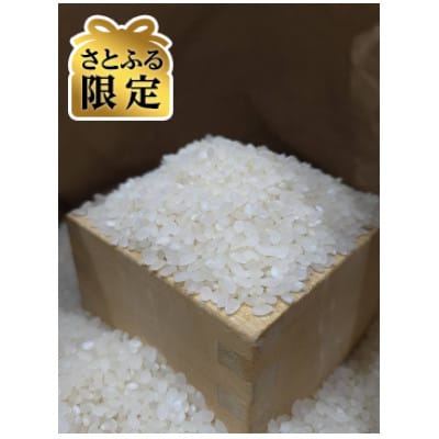 【さとふる限定】【令和7年産】長野県産コシヒカリ10kg精米※※天日干しはぜかけ米※※