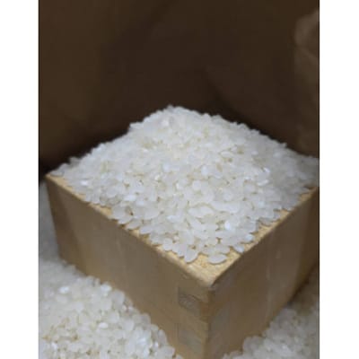 【令和7年産】長野県産コシヒカリ10kg精米※※天日干しはぜかけ米※※