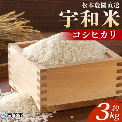 令和7年産:松本農園直送「宇和米(コシヒカリ)」3kg
