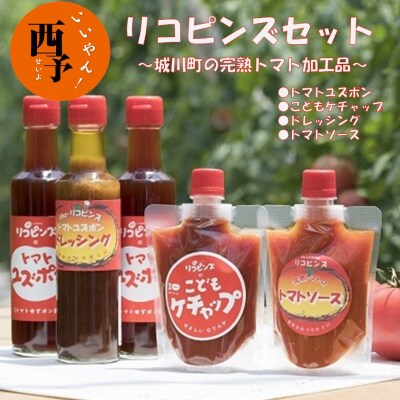 リコピンズセット(遊子川トマトの加工品)