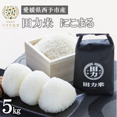 令和4年産　田力米(にこまる)5kg