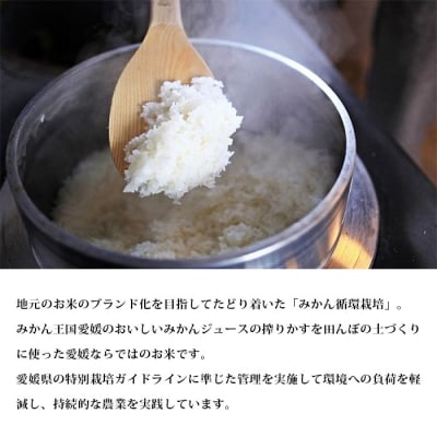 <令和7年産:田力米(にこまる)5kg>　コメ　西予　宇和　特産品　