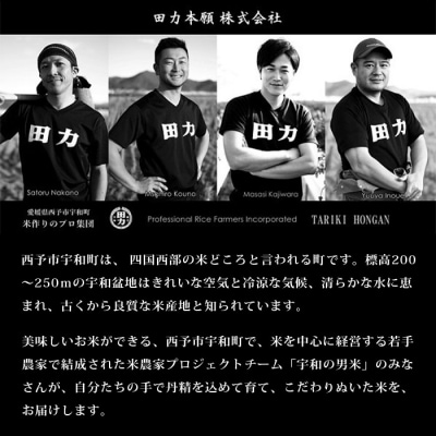 <令和7年産:田力米(にこまる)5kg>　コメ　西予　宇和　特産品　