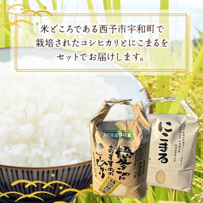 令和7年産:西予市宇和町産特別栽培米コシヒカリ・にこまる食べ比べセット(各2kg)