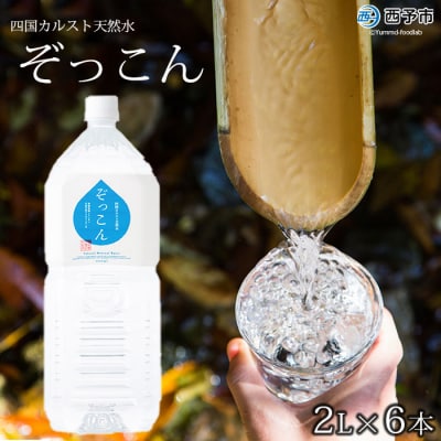 <四国カルスト天然水ぞっこん1ケース(2L×6本)>　飲料　みず　備蓄　ウォーター　西予　防災