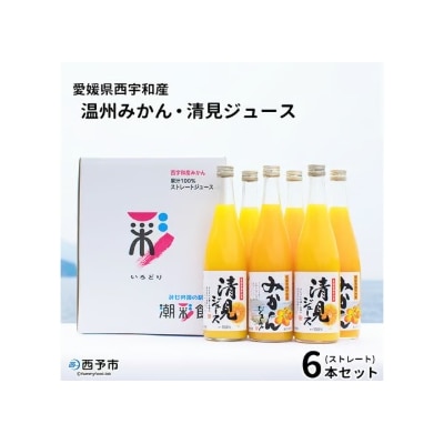 愛媛県西宇和産温州みかん・清見ジュース6本セット