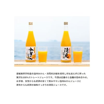 愛媛県西宇和産温州みかん・清見ジュース6本セット