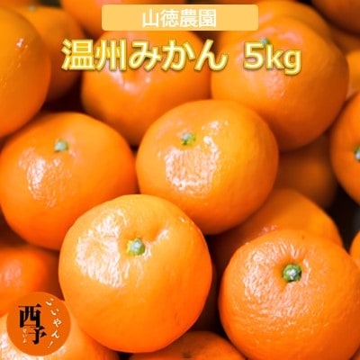 山徳農園「温州みかん」5kg(数量限定)