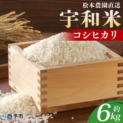 令和7年産:松本農園直送「宇和米(コシヒカリ)」6kg