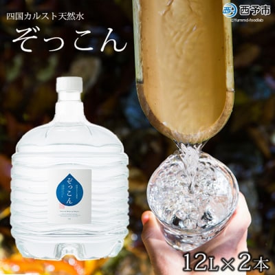 <四国カルスト天然水ぞっこん(ガロンボトル12ℓ×2本)>　ウォーター　飲料　西予　備蓄　防災　みず