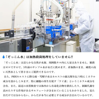 <四国カルスト天然水ぞっこん(ガロンボトル12ℓ×2本)>　ウォーター　飲料　西予　備蓄　防災　みず