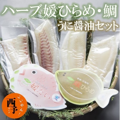 ハーブ媛ひらめ・鯛・うに醤油セット