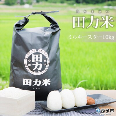 <令和6年産:田力米(ミルキースター)10kg>　コメ　西予　宇和　特産品