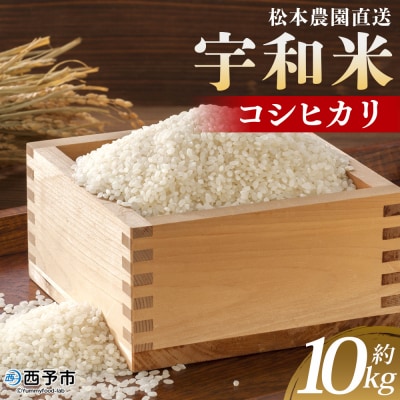 令和7年産:松本農園直送「宇和米(コシヒカリ)」10kg