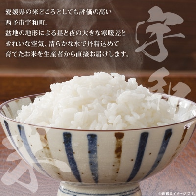令和7年産:松本農園直送「宇和米(コシヒカリ)」10kg