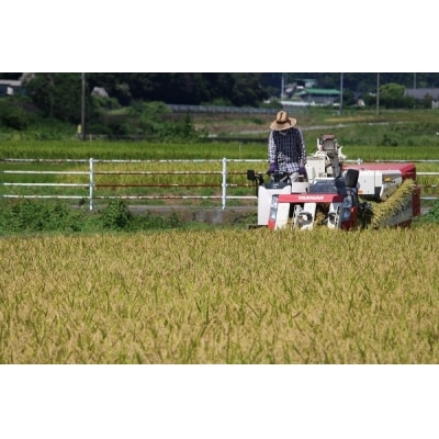 令和7年産:松本農園直送「宇和米(コシヒカリ)」10kg